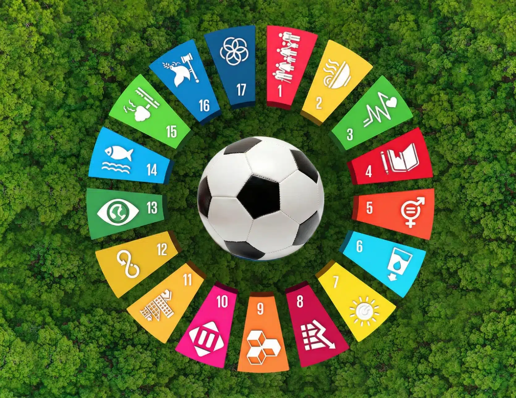 The Sports Economy: What Is It and How Could It Improve the Health of Both People and Planet?
